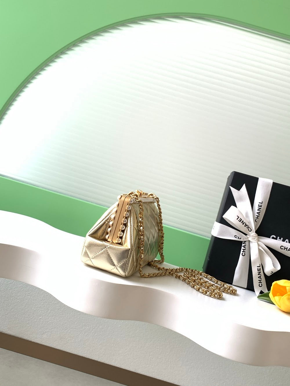Anum Bags CHn Luxury Bag --113846