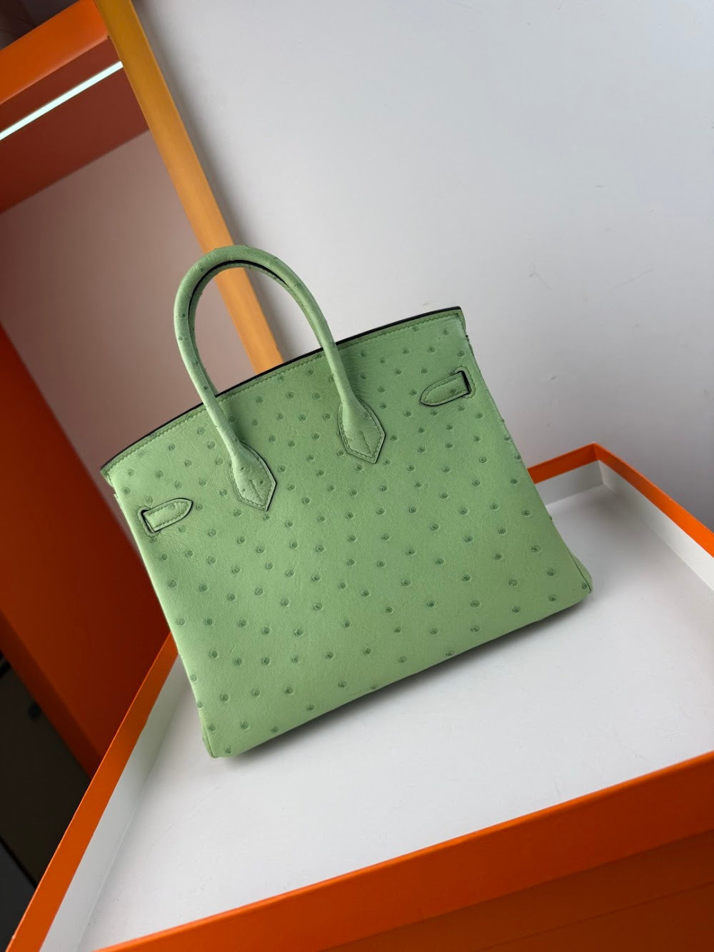 Anum Bags Hermesn Luxury Bag --116759