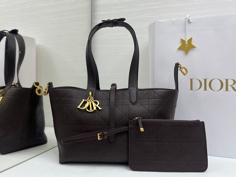Ezyycart Bags Diorn Luxury Bag --115388