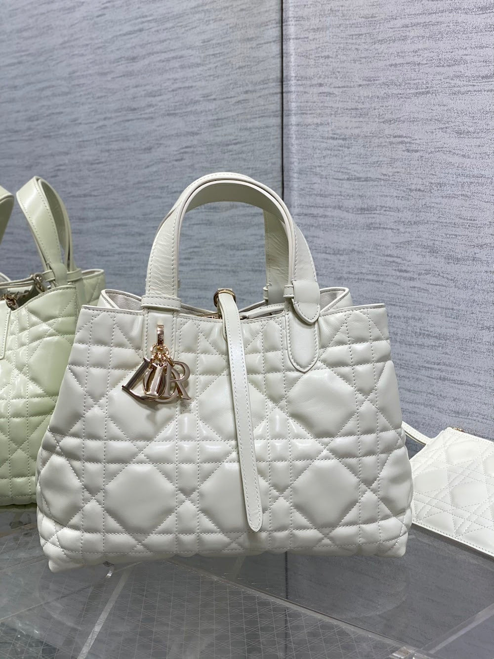 Anum Bags Diorn Luxury Bag --114549
