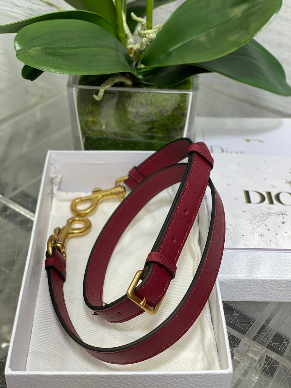 new-luxury-designer-bags-nm16173