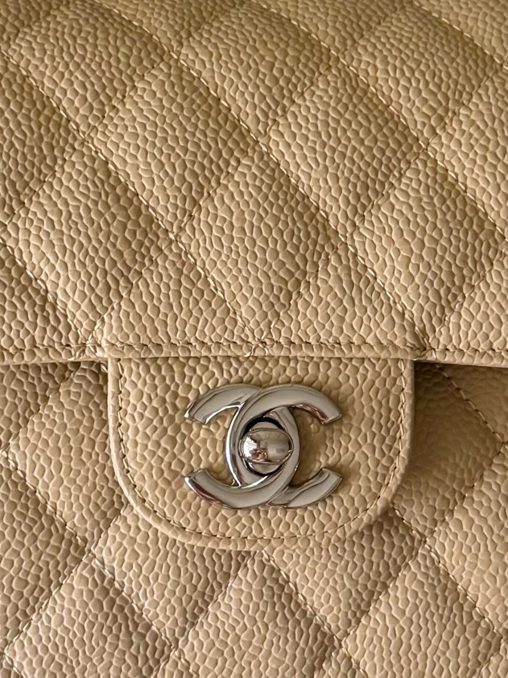 Anum Bags CHn Luxury Bag --114042