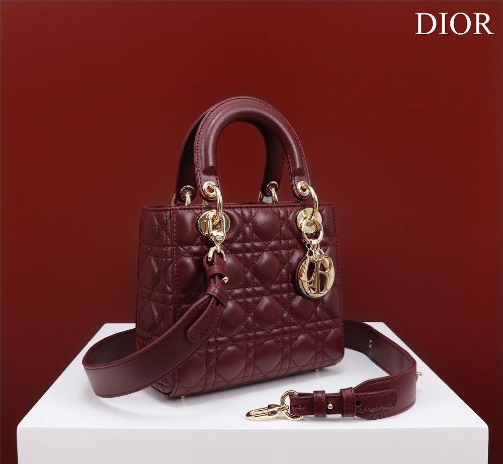 Ezyycart Bags Diorn Luxury Bag --115921
