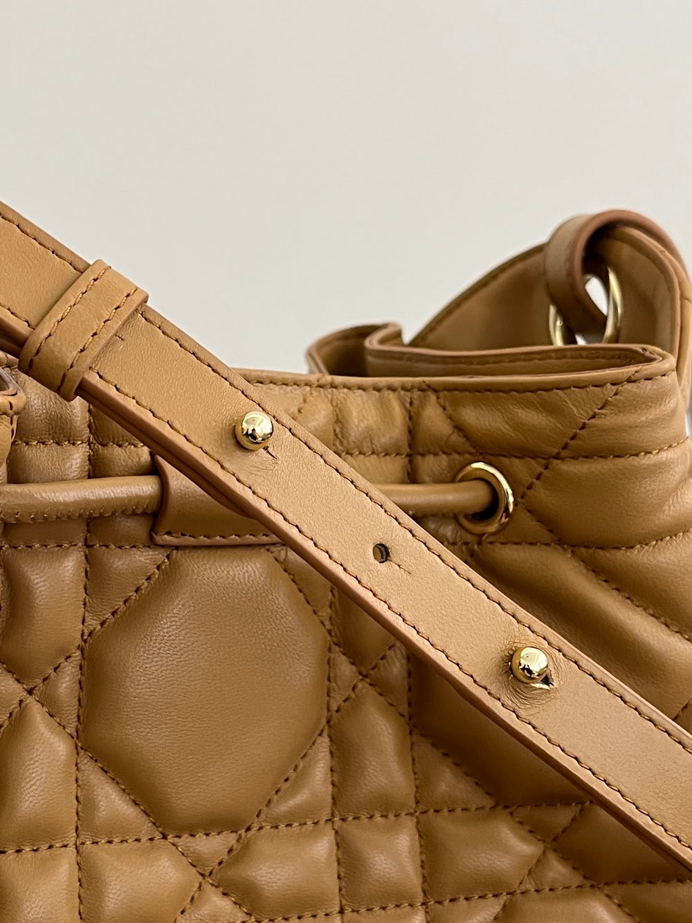 Anum Bags Diorn Luxury Bag --114958