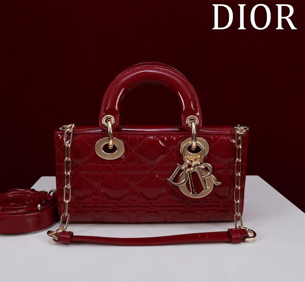 Anum Bags Diorn Luxury Bag --114784