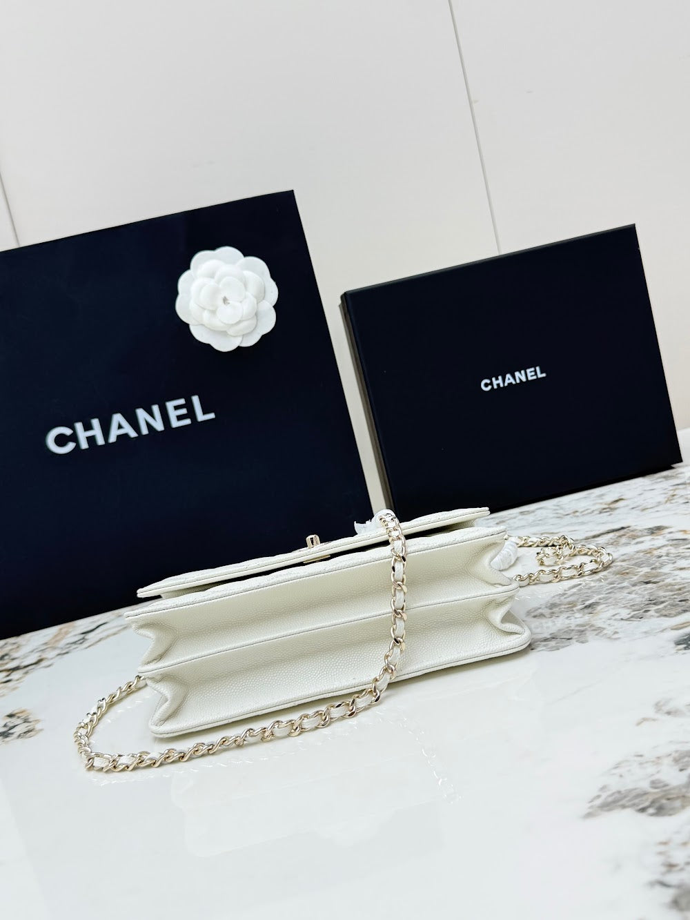 Anum Bags CHn Luxury Bag --113796