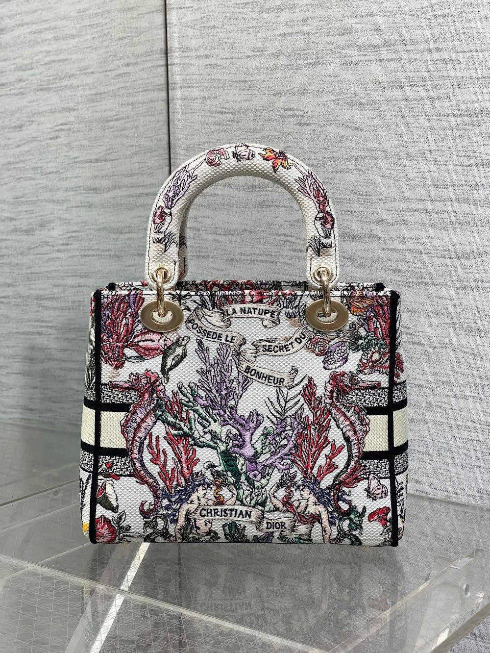 new-designer-premium-bags-nm16306