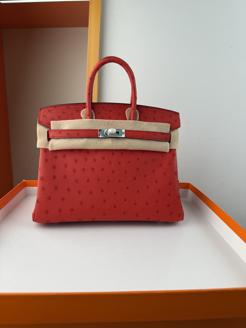 Anum Bags Hermesn Luxury Bag --116767
