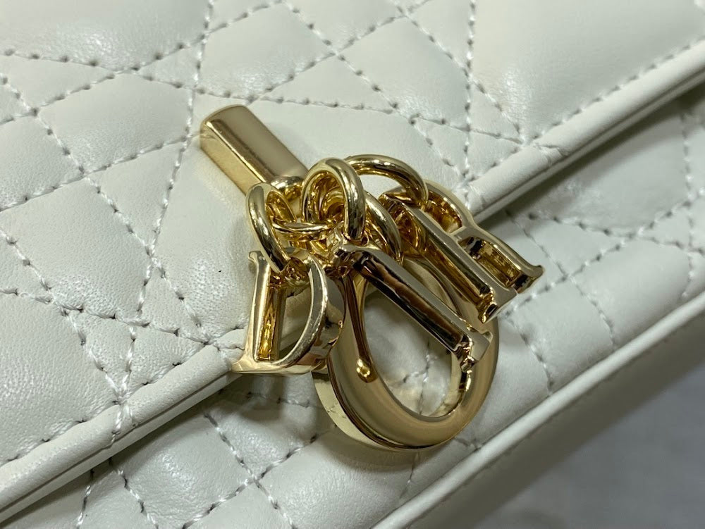 Ezyycart Bags Diorn Luxury Bag --115100