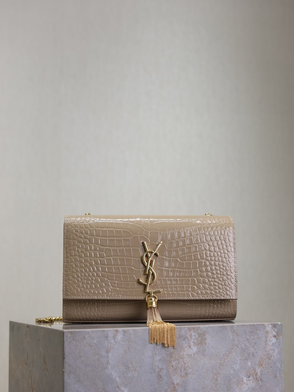 Ezyycart Bags YSLn Luxury Bag --119160