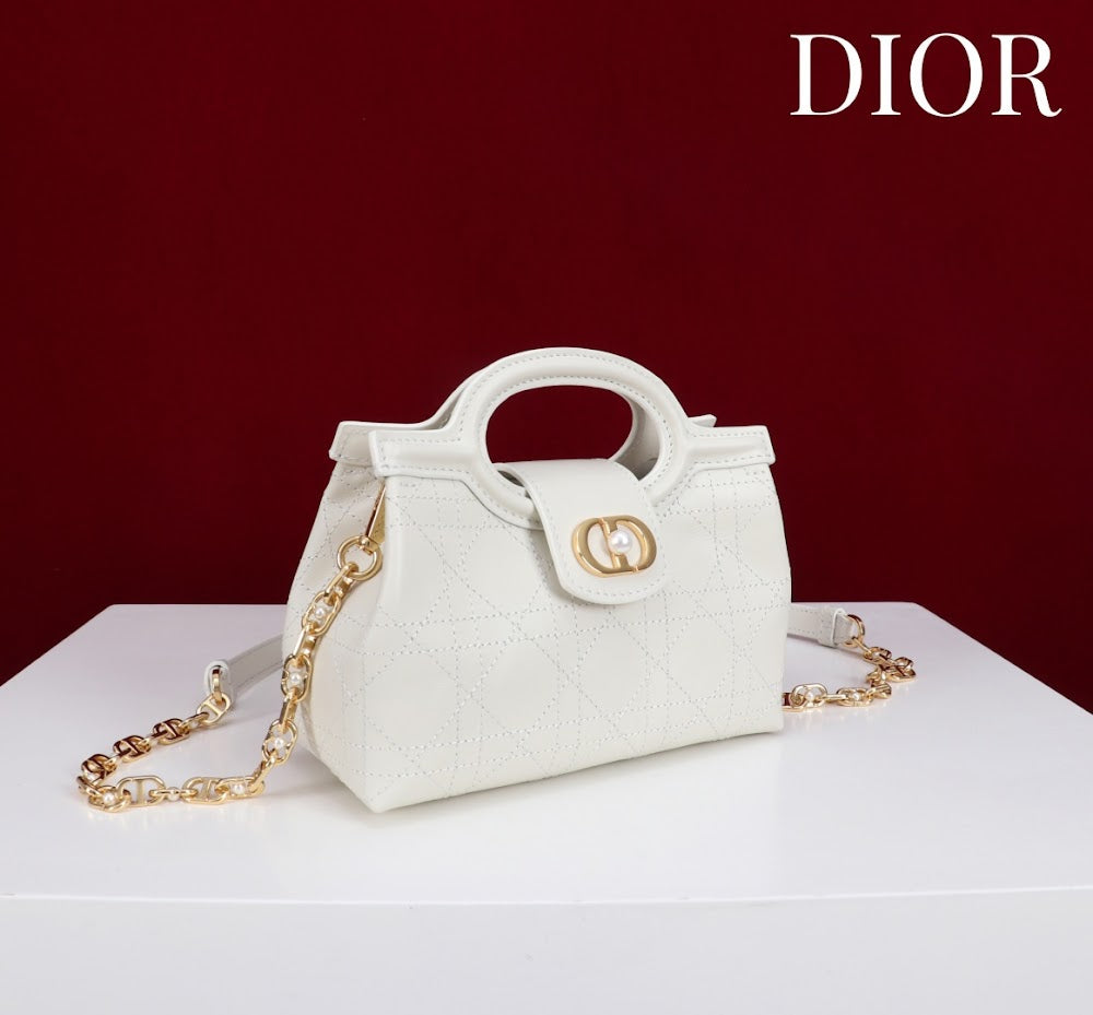 Anum Bags Diorn Luxury Bag --114555