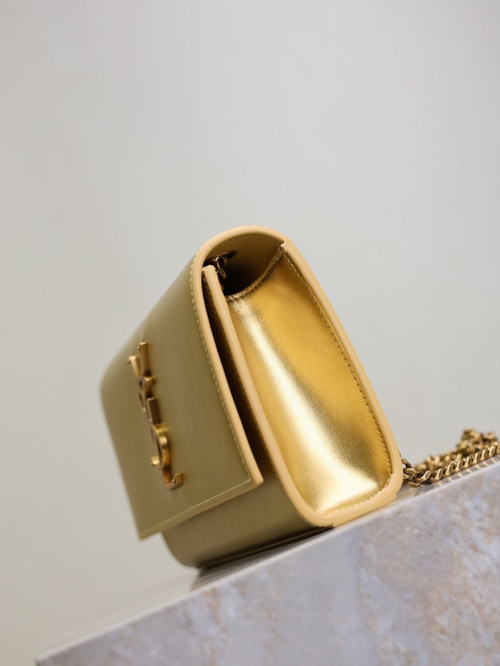 Ezyycart Bags YSLn Luxury Bag --119513
