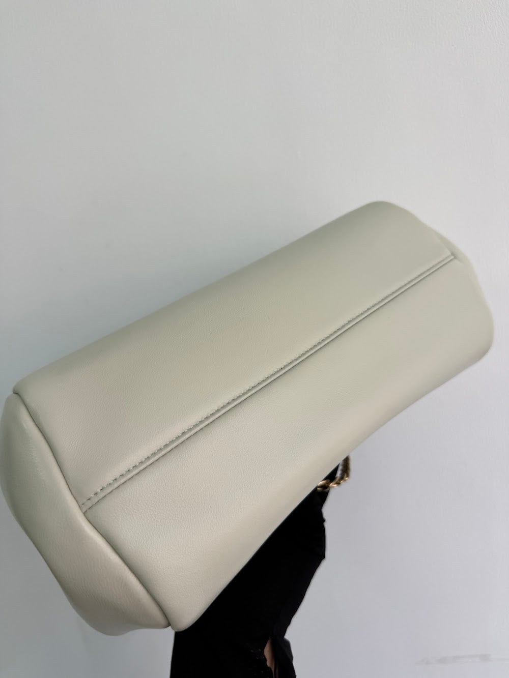 Ezyycart Bags Pradn Luxury Bag --101615