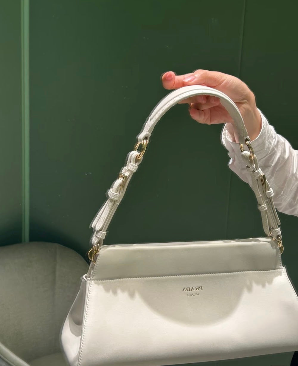 Ezyycart Bags Pradn Luxury Bag --101477
