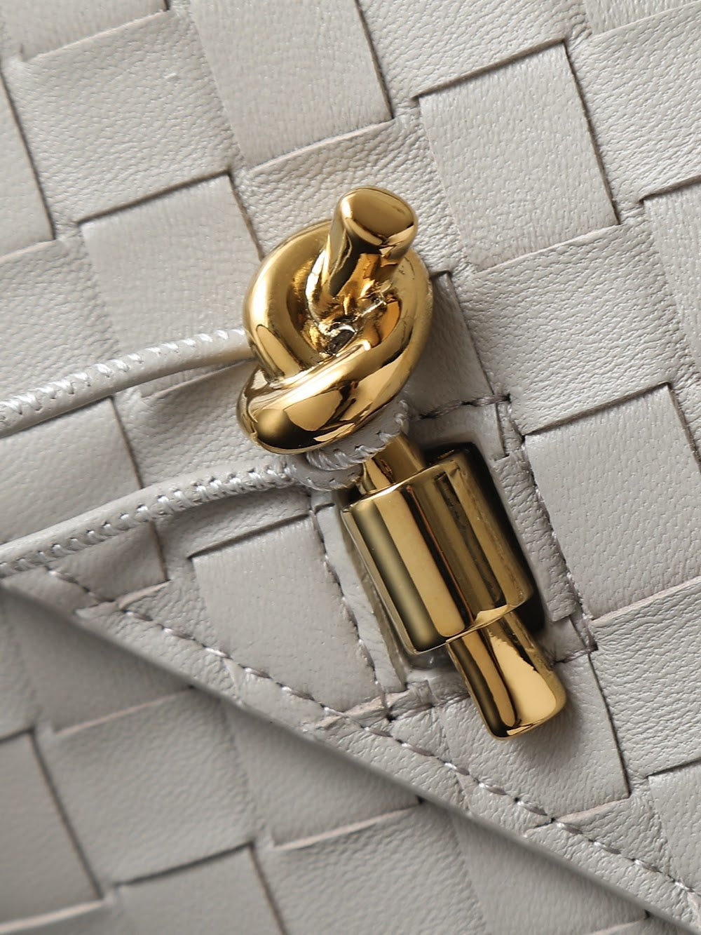 Ezyycart Bags Bottegan Luxury Bag --91404