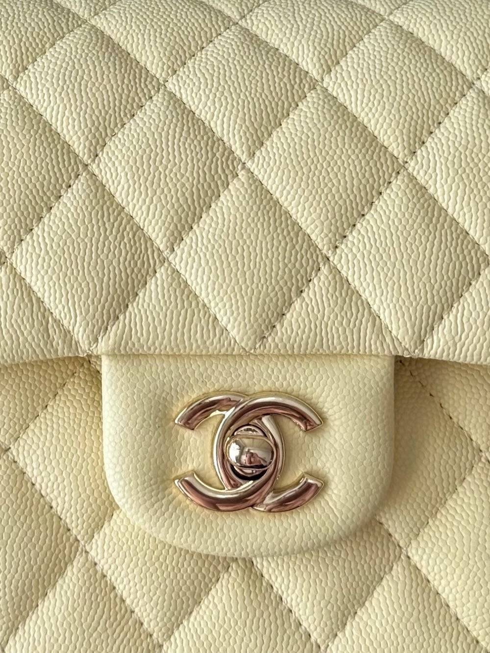 Anum Bags CHn Luxury Bag --112772