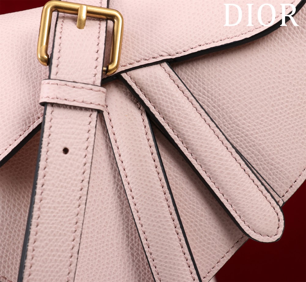 Ezyycart Bags Diorn Luxury Bag --116500