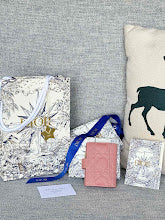 new-designer-premium-bags-nm7466