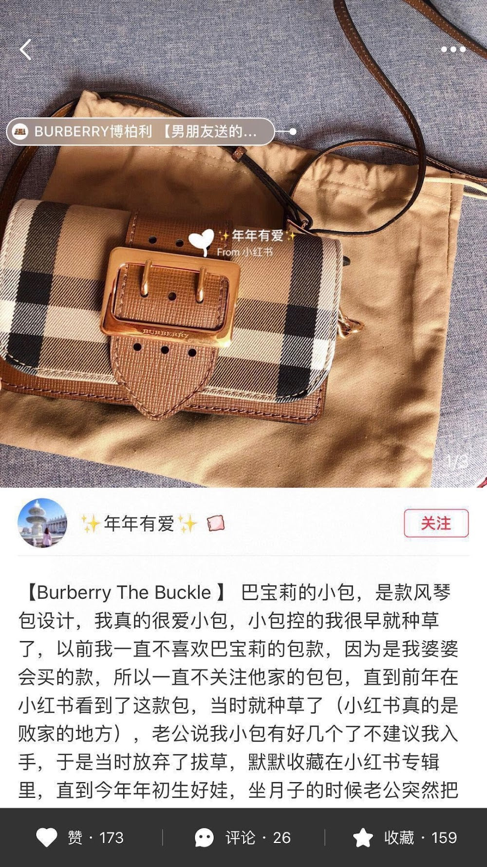 Ezyycart Bags Luxury Bag --50192
