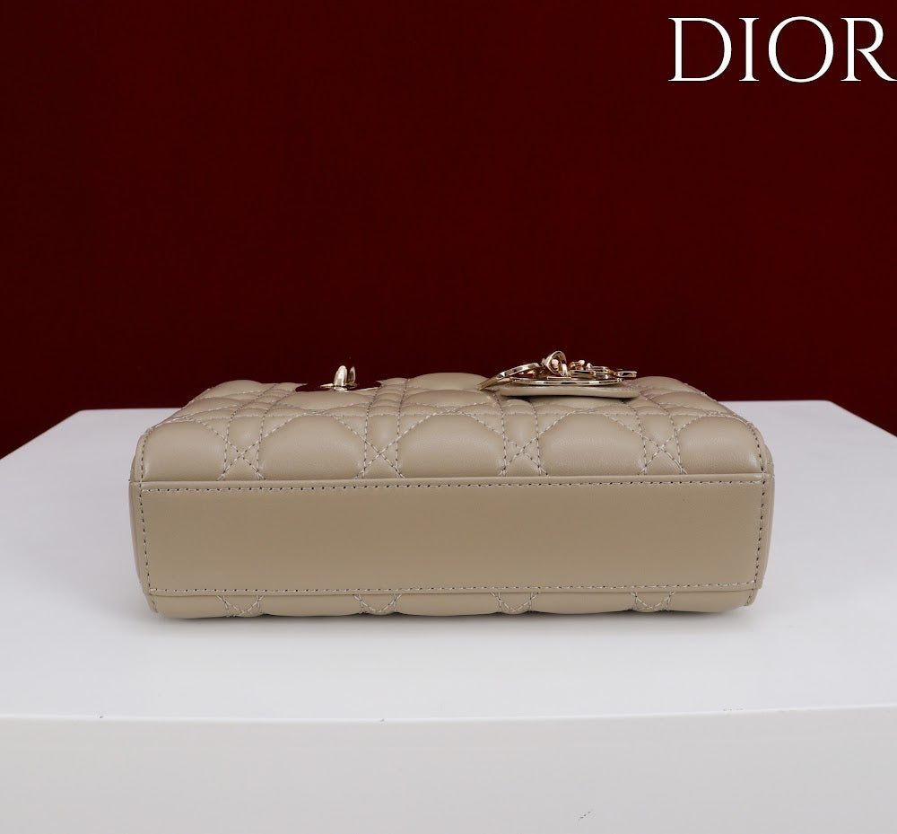 Ezyycart Bags Diorn Luxury Bag --115419