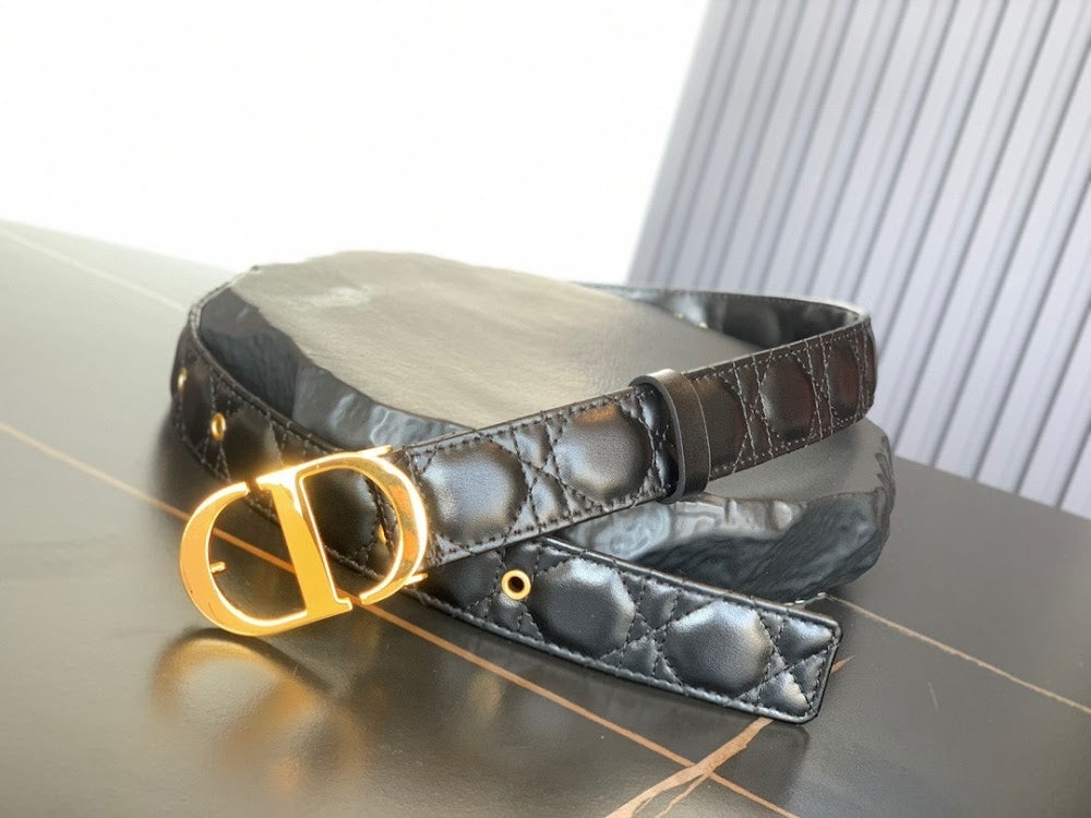 Anum Bags Diorn Luxury Belt --104992