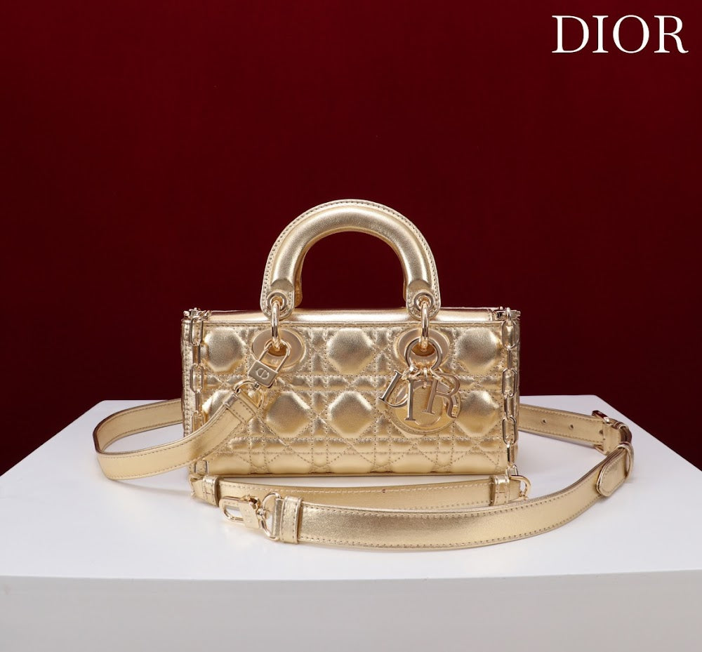 Anum Bags Diorn Luxury Bag --114716