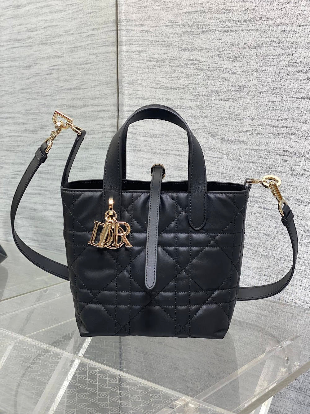 Ezyycart Bags Diorn Luxury Bag --115659
