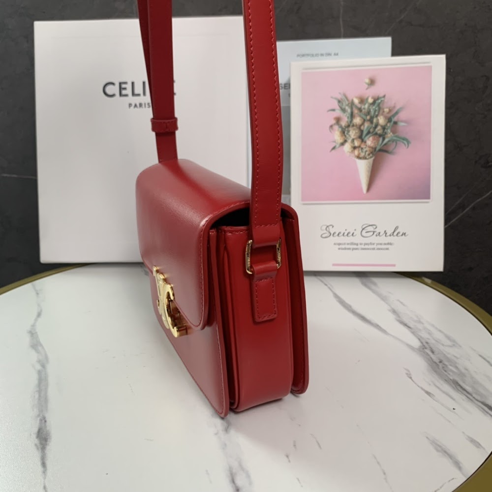 Ezyycart Bags Celine Luxury Bag --111991