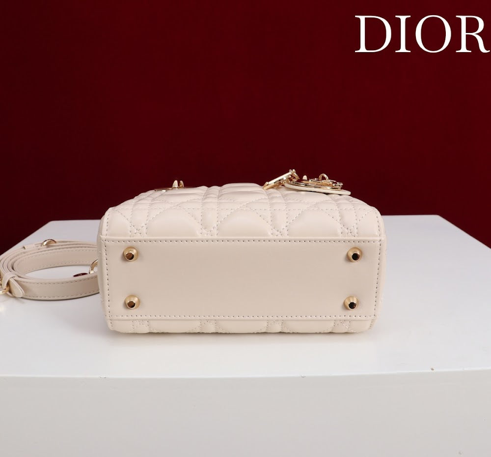 Ezyycart Bags Diorn Luxury Bag --115622