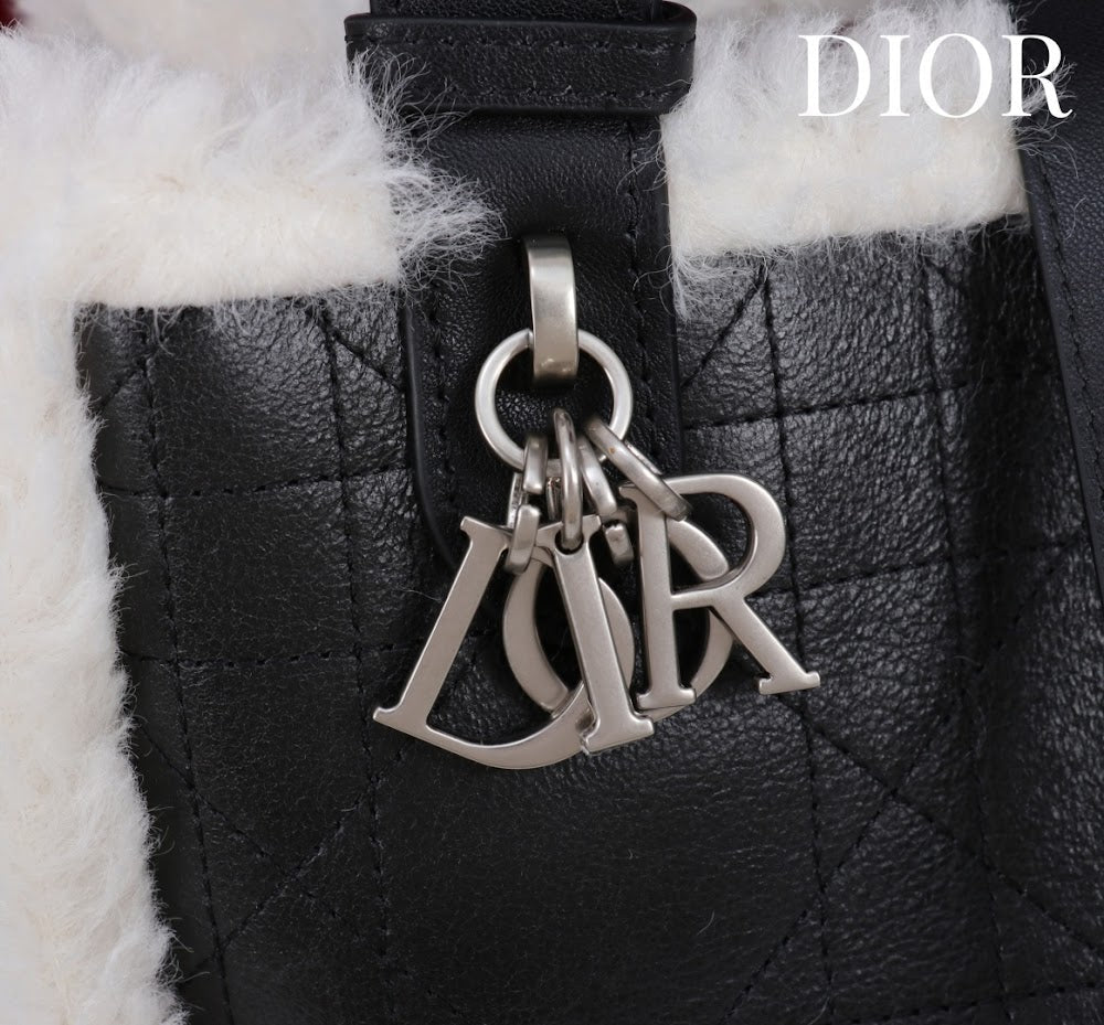 Anum Bags Diorn Luxury Bag --114888