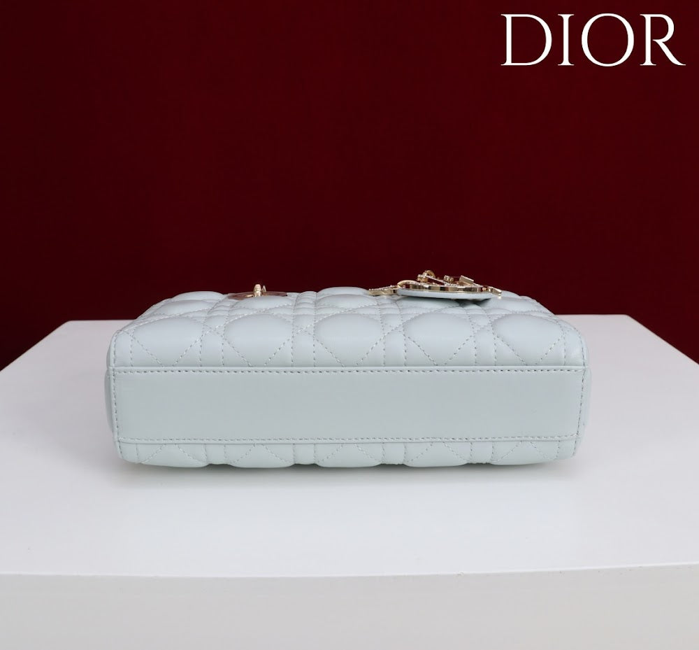 Anum Bags Diorn Luxury Bag --114789