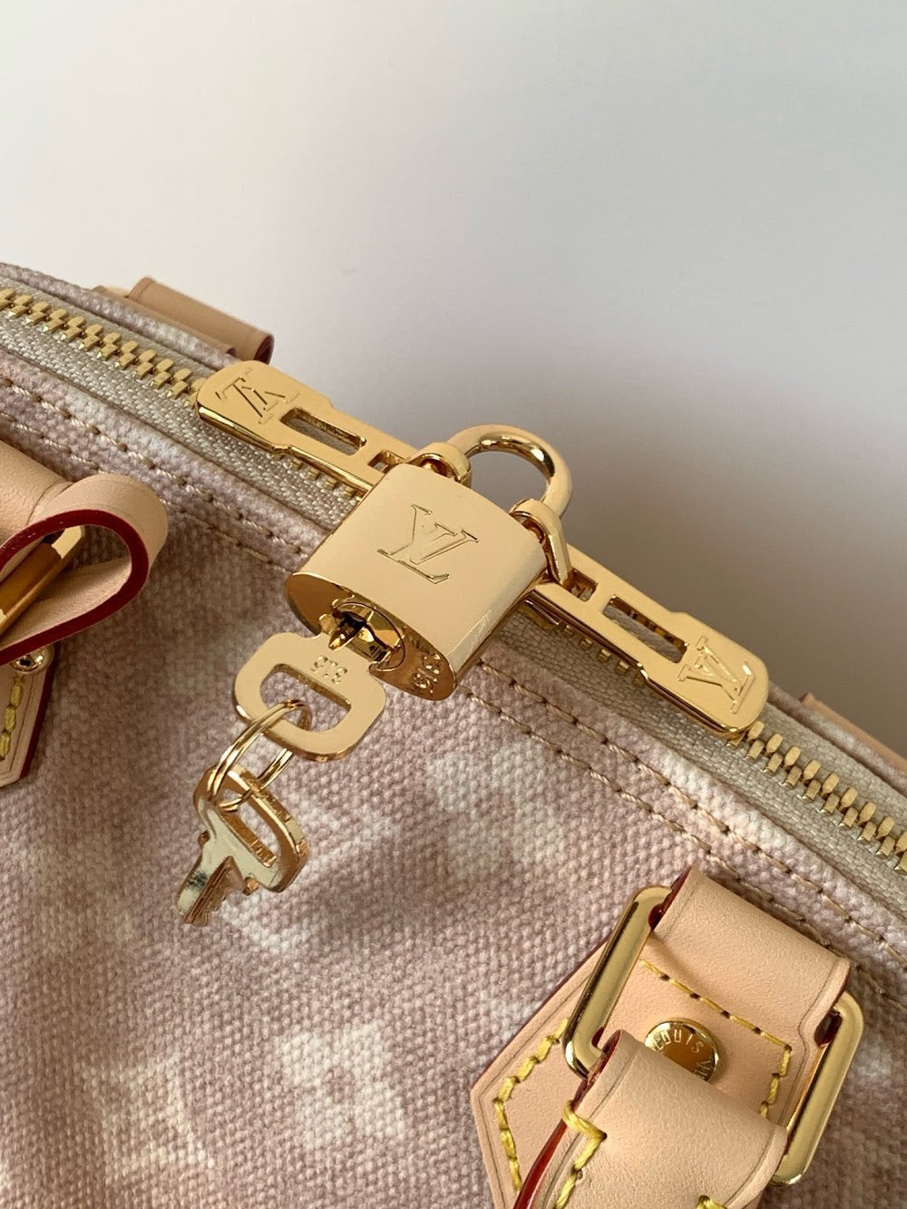 Anum Bags LVn Luxury Bag --80361