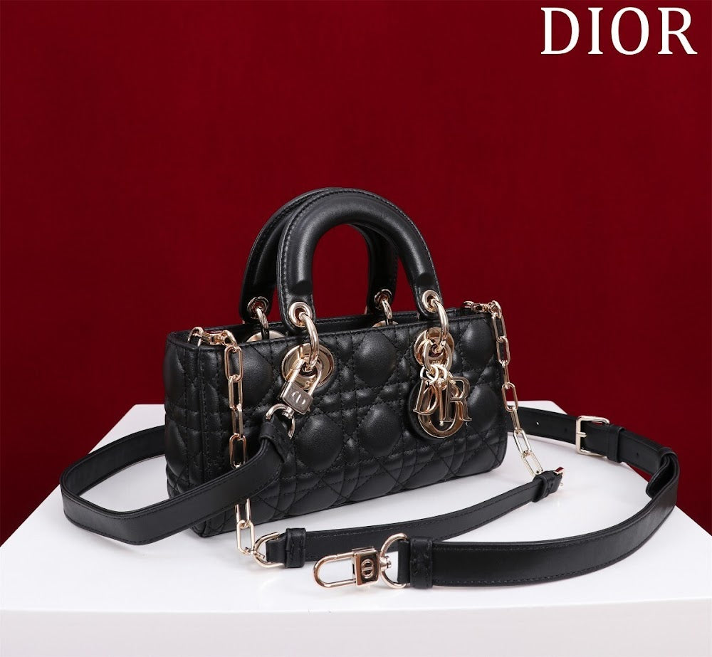 Anum Bags Diorn Luxury Bag --114714