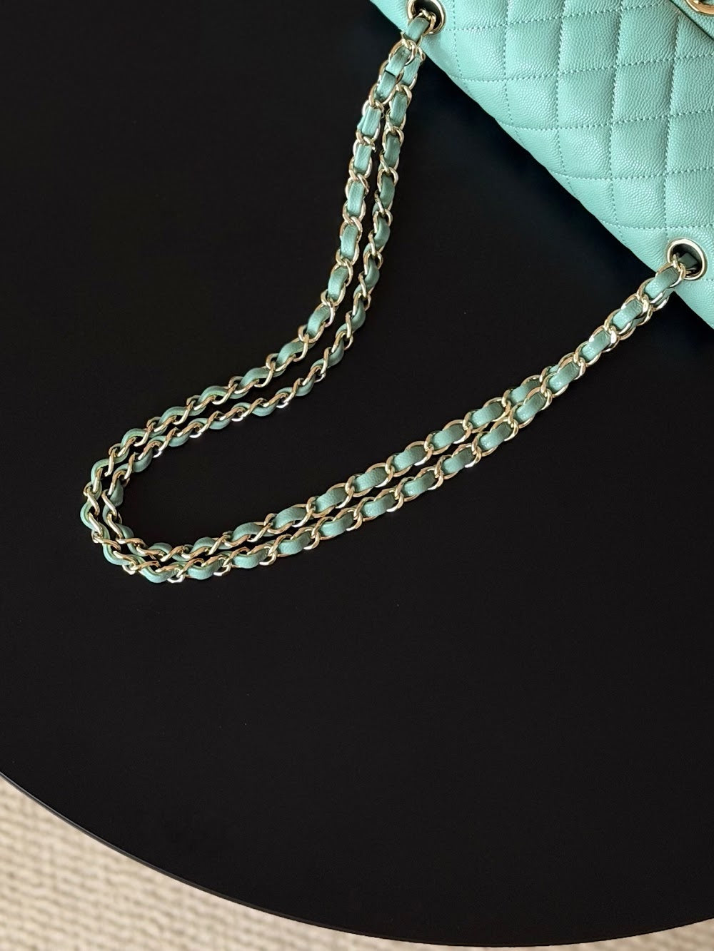 Anum Bags CHn Luxury Bag --113889