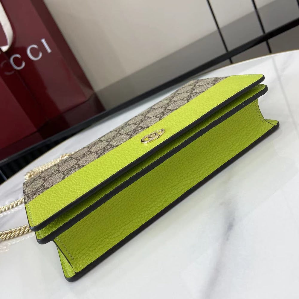 Ezyycart Bags Guccin Luxury Bag --94551