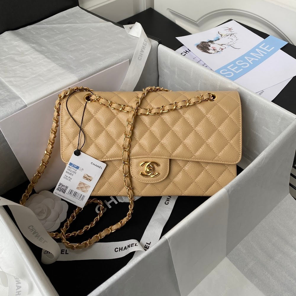new-luxury-designer-bags-nm10096