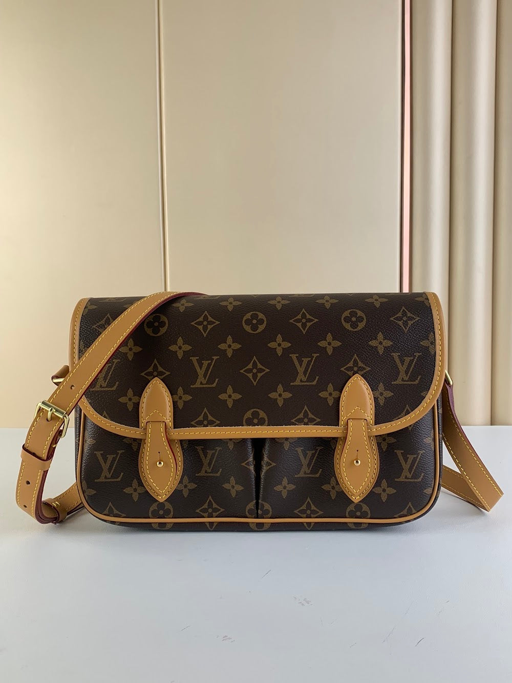 Anum Bags LV Luxury Bag --55665