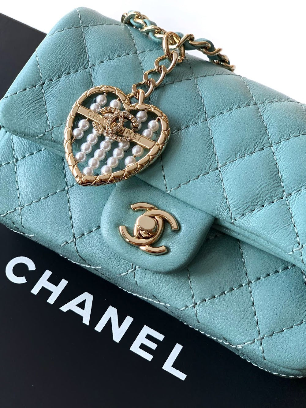 Anum Bags CHn Luxury Bag --112670