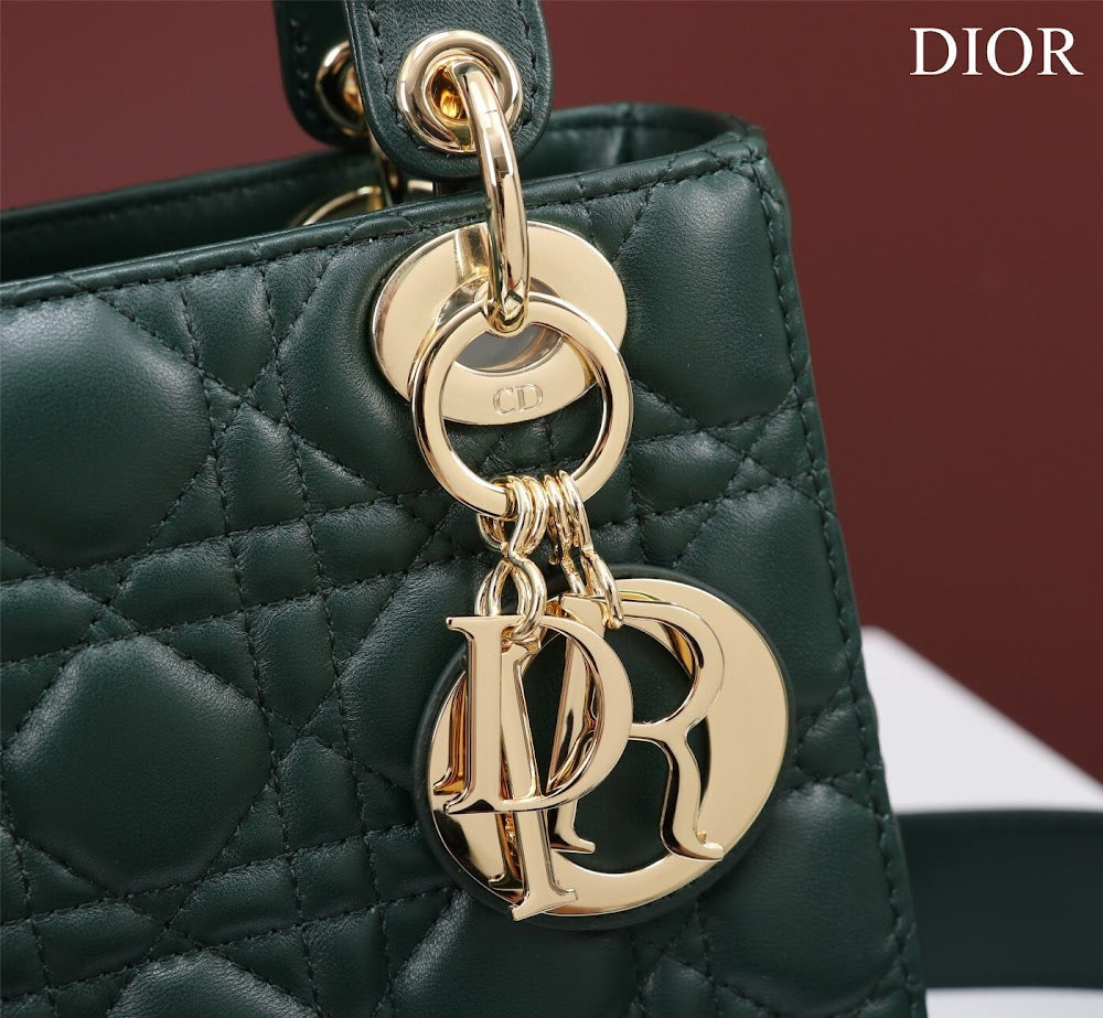 Ezyycart Bags Diorn Luxury Bag --115924