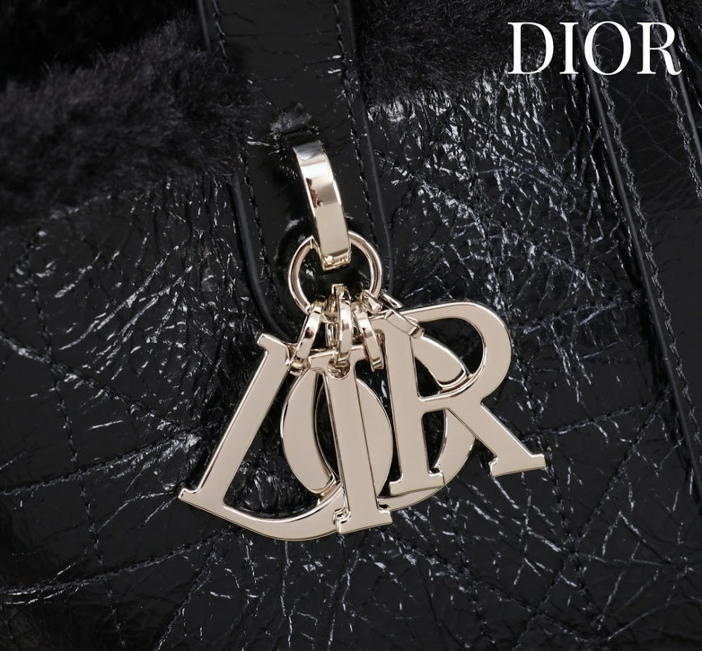 Ezyycart Bags Diorn Luxury Bag --116121