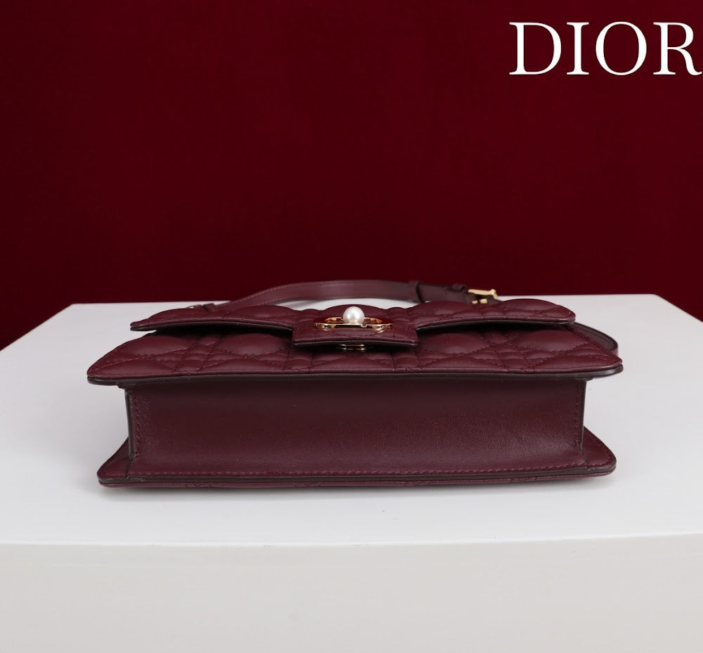 Ezyycart Bags Diorn Luxury Bag --116379