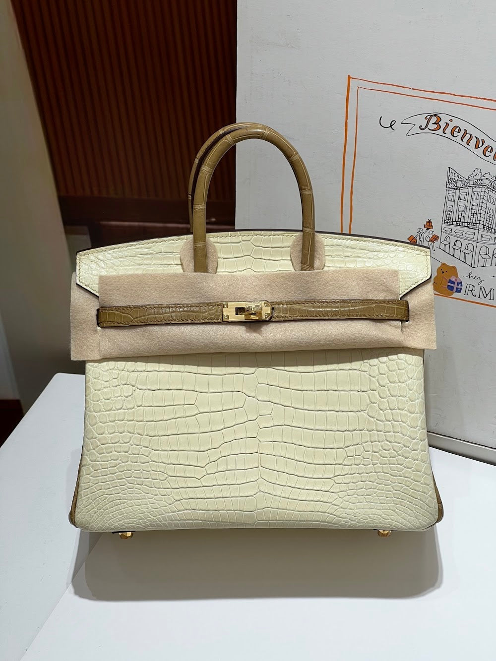 Anum Bags Hermesn Luxury Bag --117153