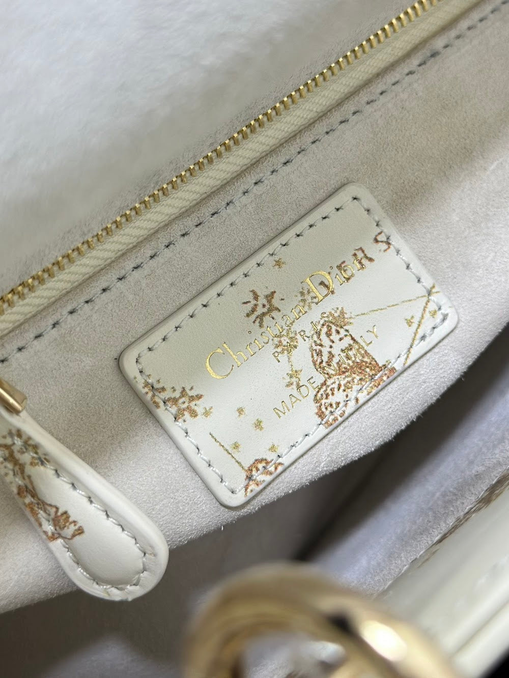 Ezyycart Bags Diorn Luxury Bag --116330