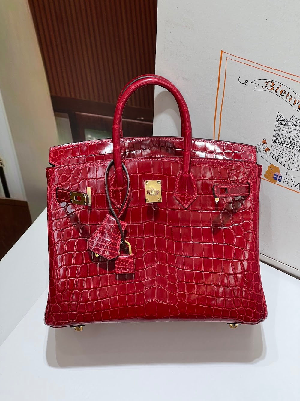 Anum Bags Hermesn Luxury Bag --117202