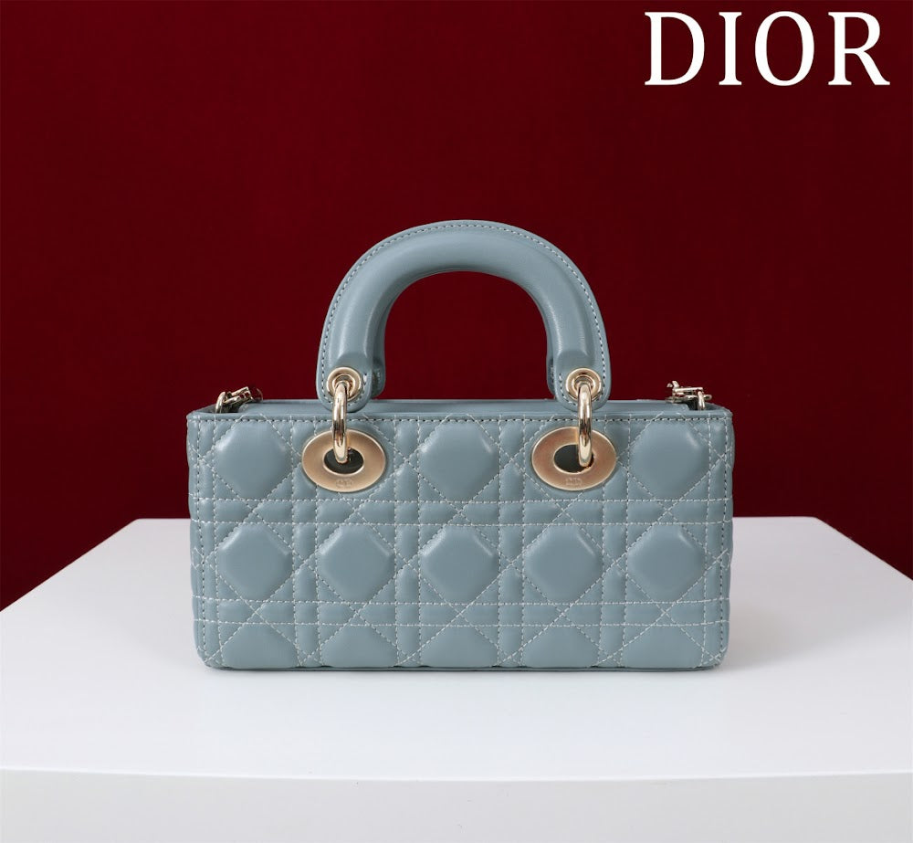 Anum Bags Diorn Luxury Bag --114725