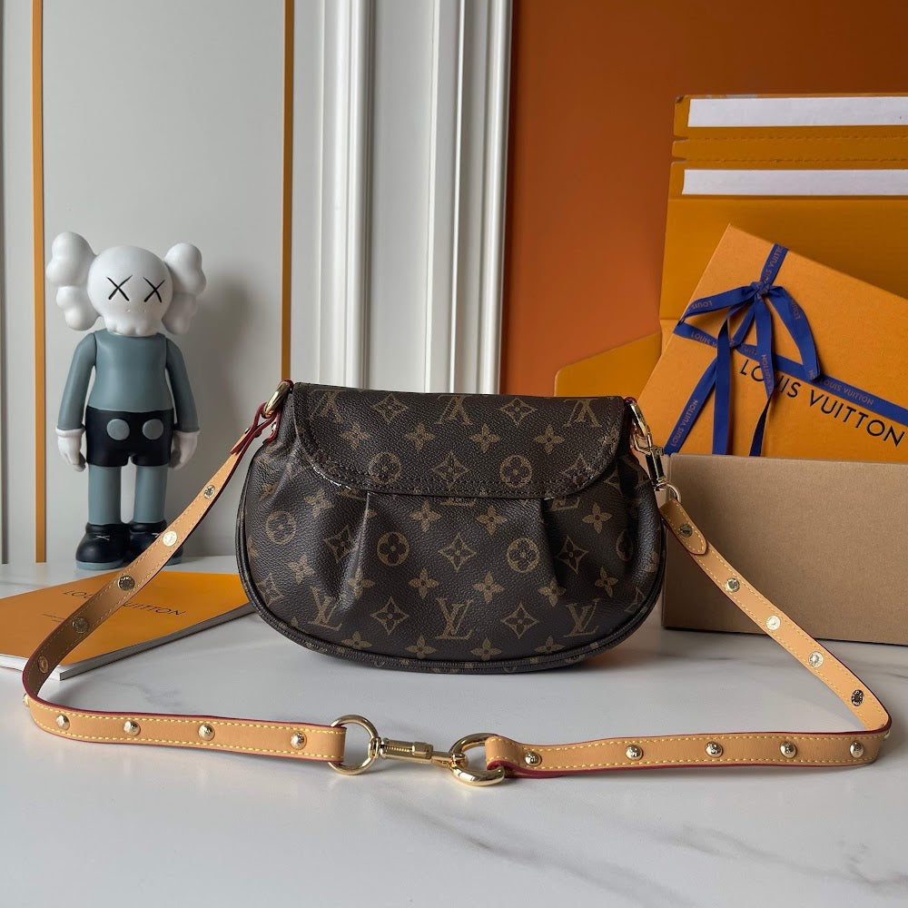 Anum Bags LVn Luxury Bag --79973