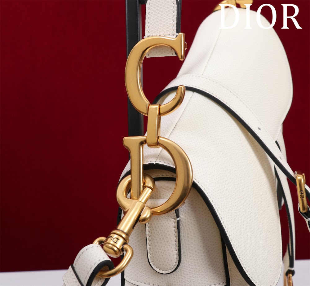 Ezyycart Bags Diorn Luxury Bag --116501