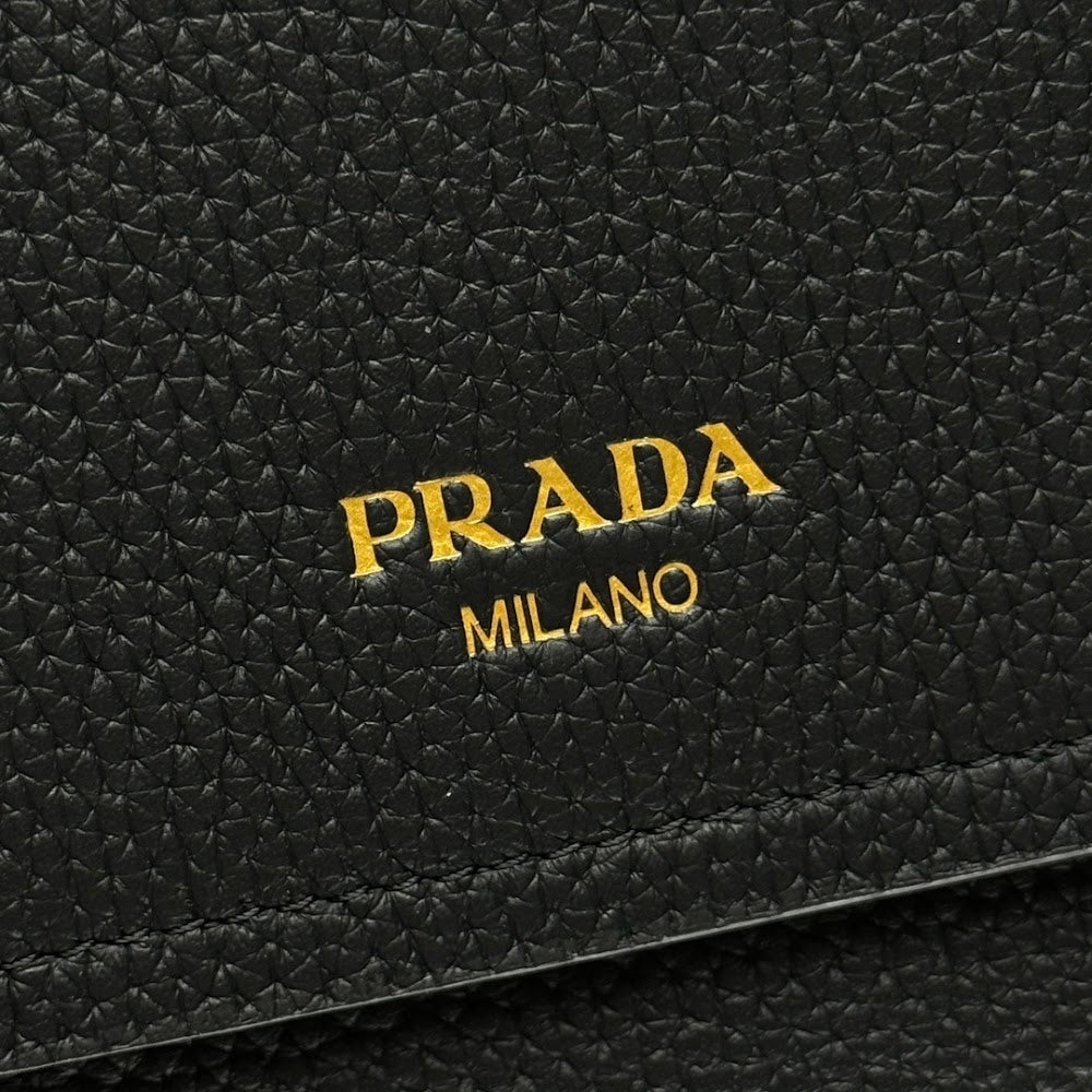 Ezyycart Bags Pradn Luxury Bag --102864