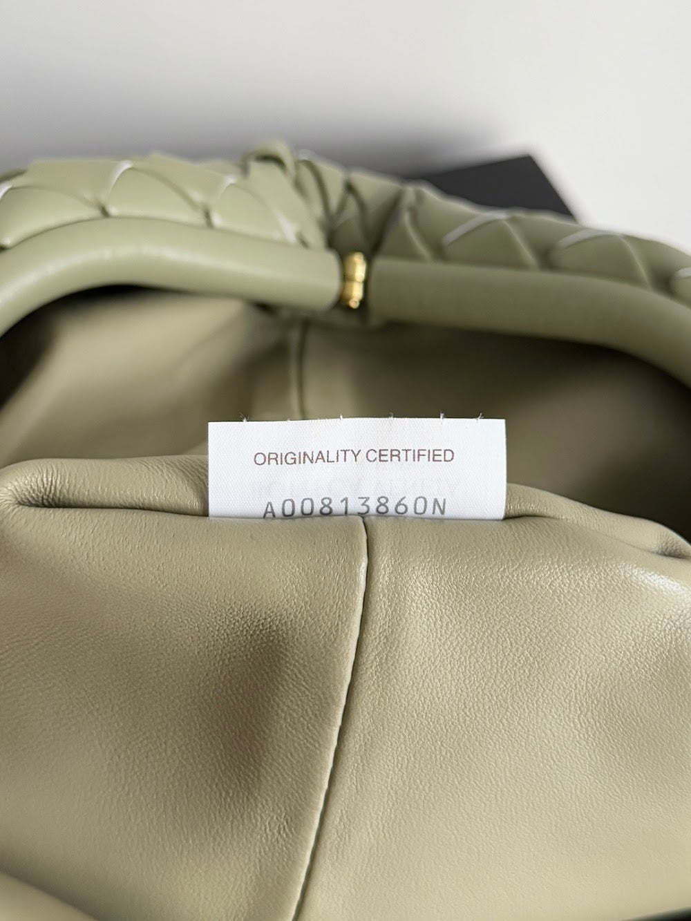 Ezyycart Bags Bottegan Luxury Bag --91097