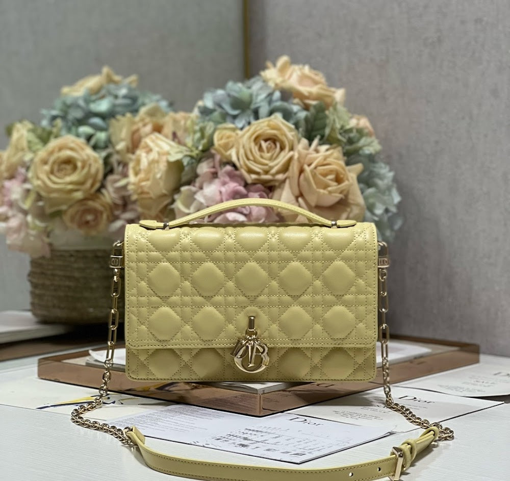 new-designer-premium-bags-nm16149